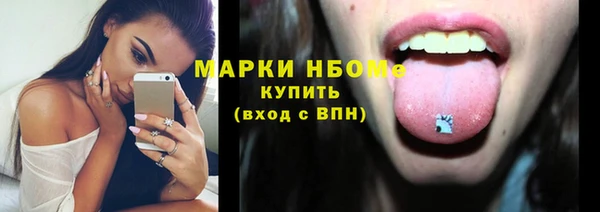 гашик Богородск