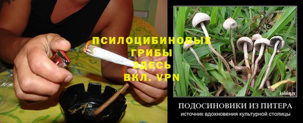 MDMA Premium VHQ Белокуриха